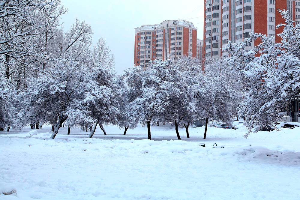 Ahorra frente a la subida de la luz en 2021