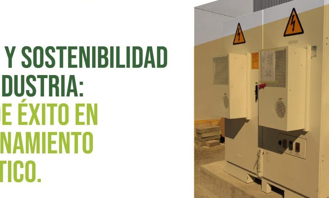 Jornada: Ahorro y sosteniblidad en la industria. Casos de éxito en almacenamiento energético.