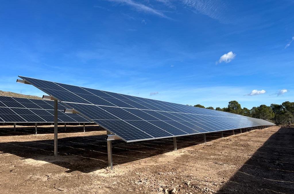 Huertos solares de autoconsumo, la solución en ahorro y sostenibilidad para las industrias que no disponen de cubiertas