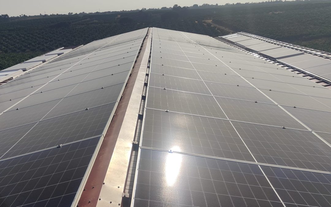 Soluciones de autoconsumo fotovoltaico: expansión en Andalucía