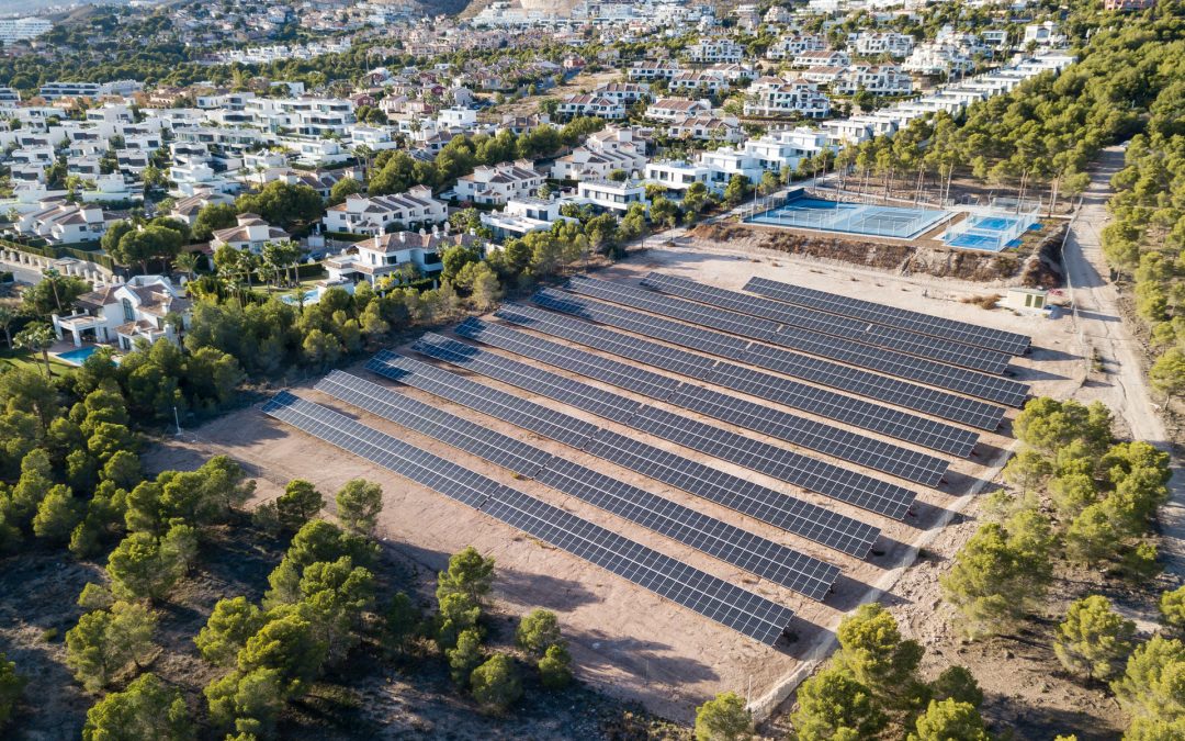 El hotel Asia Gardens instala un huerto de autoconsumo para ahorrar y ser más sostenible