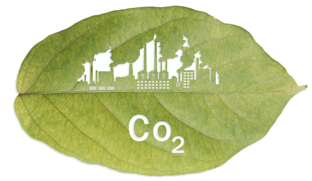 Descarbonización y sostenibilidad