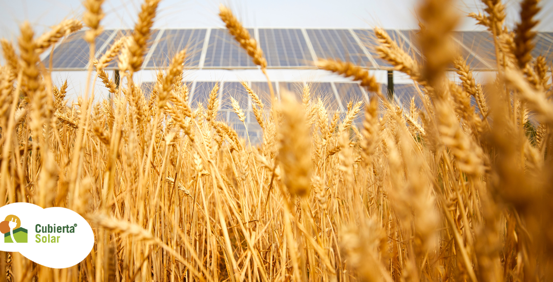 Ayudas a la energía y el almacenamiento en el sector agroalimentario